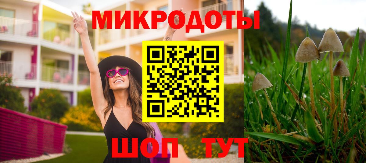 купить наркотик  Галлюциногенные грибы GOLDEN TEACHER  Вход с VPN  Армавир  Псилоцибиновые грибы ЛСД 