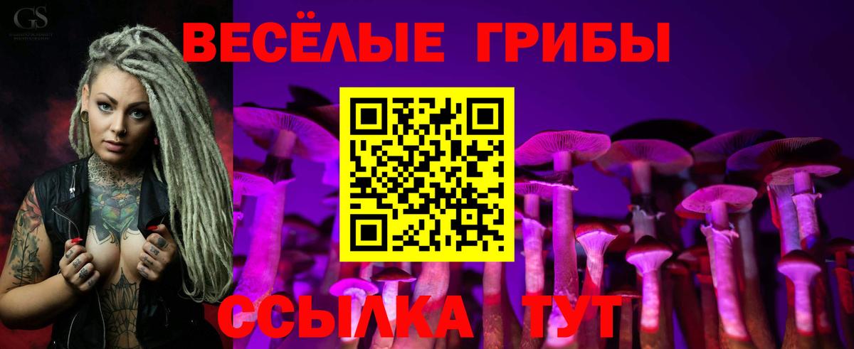 Галлюциногенные грибы Psilocybine cubensis Армавир